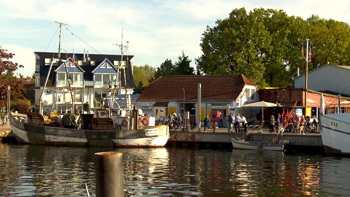 Blick vom Wasser auf Kutter am Kai, dahinter Gebäude und Bäume