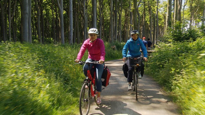 Andrea Grießmann und Elke Vieth radeln durch einen lichten Laubwald