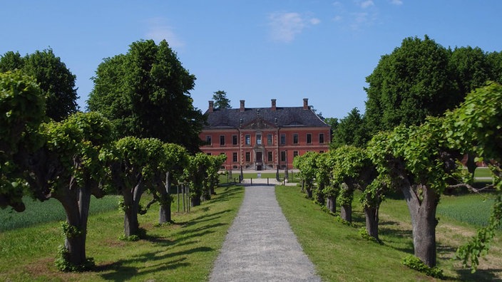 Blick entlang einer Allee auf ein Schlossgebäude