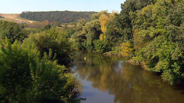 Blick von oben auf die Saale mit bewaldeten Ufern