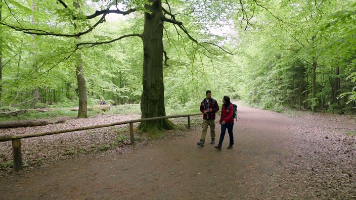 Ramon Babazadeh und eine Begleiterin wandern auf einem Waldweg durch Laubwald