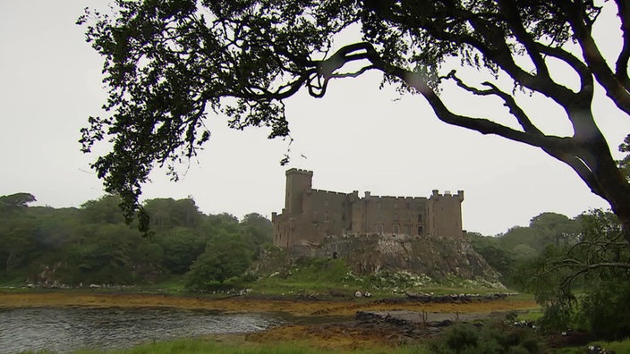 Blick unter einem überhängenden Baum hindurch auf eine trutzige Burg mit einem Turm