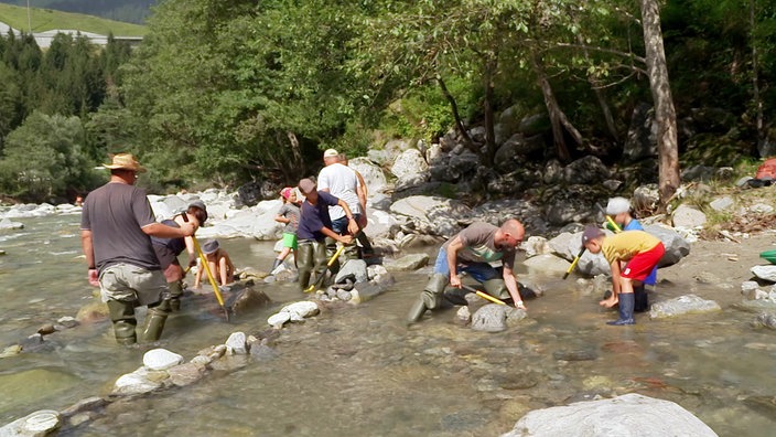 Mehrere Personen stehen in einem Flussbett und suchen mit Schaufeln nach Gold