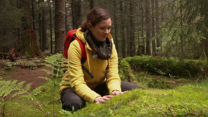 Anne Willmes hockt im Wald und schaut den Boden an