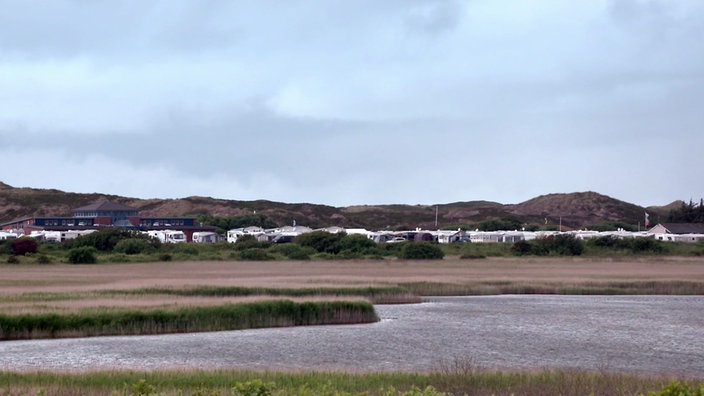 Blick über Wasserfläche und Riedgras auf einen Campingplatz