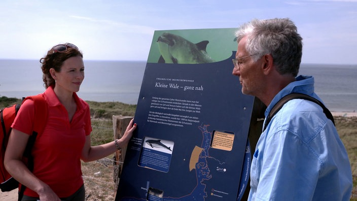 Anne Willmes steht mit einem Mann vor einer Informationstafel am Strand