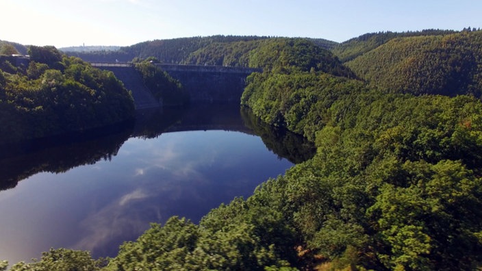 Blick auf Talsperre und Stausee inmitten dichten Waldes