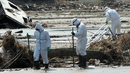 Ingenieure beim zerstörten Atomkraftwerk in Fukushima