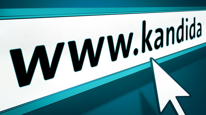 Montage: URL 'www.kandida' in einem Eingabefeld