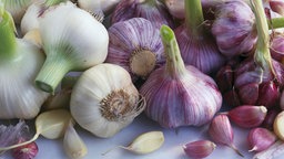 Knoblauch im Labortest