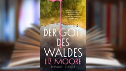 Buchcover: "Der Gott des Waldes" von Liz Moore