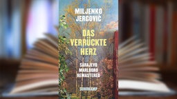 Buchcover: "Das verrückte Herz" von Miljenko Jergović