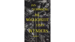 Buchcover: "Die Möglichkeit eines Wunders" von Jan Schomburg