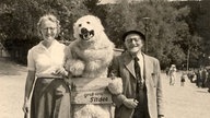 Ein Mensch im Eisbärkostüm hat sich bei einem Mann und einer Frau eingehakt. Auf einem Schild steht "Gruß vom Titisee".