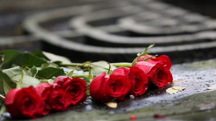 Rote Rosen liegen am 10.11.2013 auf dem Denkmal für die ehemalige Synagoge auf der Kasernenstrasse. 