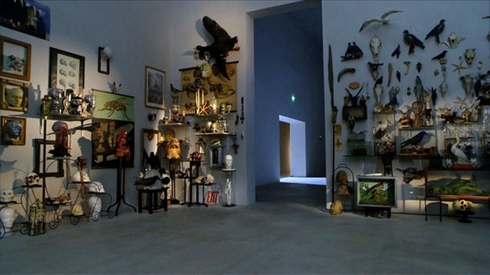 Krimhild Beckers Wunderkammer