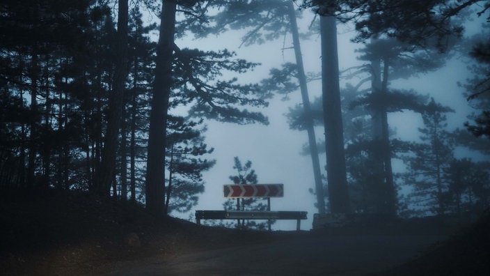 Ein Absperrungsschild in einem Wald bei Nacht.