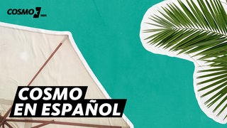 COSMO en español | Cover der Sendung. Grafik mit Palmen und einem Sonnenschirm