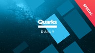 Quarks Daily Spezial Schriftzug