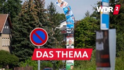 Sechs Wahlplakate von CDU, AfD und Linkspartei und ein Werbeplakat umhüllen einen Laternenmast am Stadtrand von Döbeln in Sachsen.