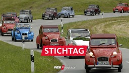 13 Enten (Citroën 2CV) fahren auf einer Straße