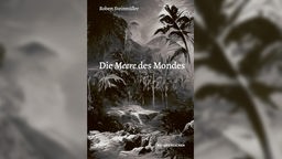 Buchcover "Die Meere des Mondes" von Robert Steinmüller.