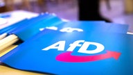 Fähnchen der Alternative für Deutschland (AfD)