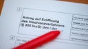 Antrag auf ein Insolvenzverfahren