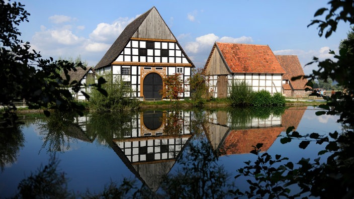 Dorfteich im Freilichtmuseum Detmold