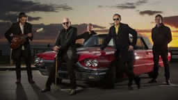 The Black Sorrows