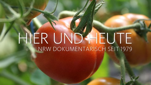 Eine Grafit mit Tomatenstauden