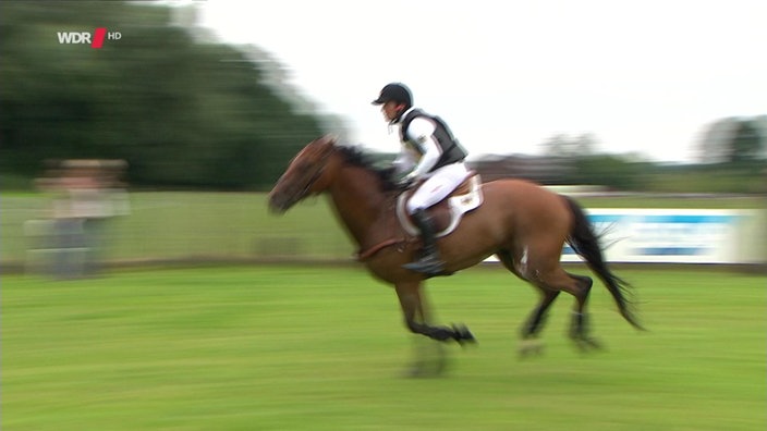 Sport im Westen live: CHIO Aachen - Vielseitigkeit Geländeritt