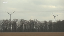 Streit um Genehmigung für Windrad in Everswinkel