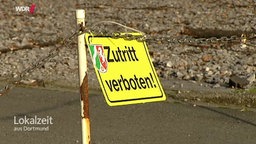 Schild