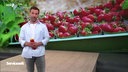 Moderator Daniel Aßmann im Servicezeit Studio