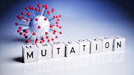 Das Bild zeigt ein Modell des Coronavirus und den Schriftzug Mutation.
