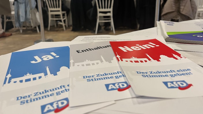 Abstimmungskarten auf den AfD-Parteitag in Marl