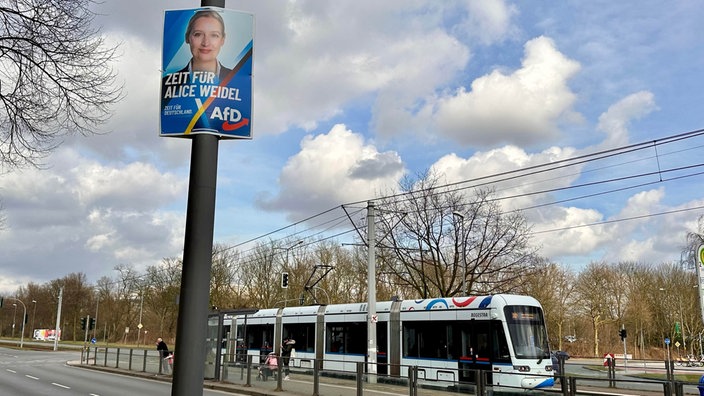 AfD Plakat