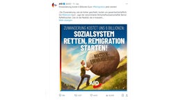 AfD-Post auf X zum Thema Remigration