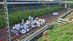 Die Aktivisten blockieren die Schienen-Zufahrt zu dem Kohlekraftwerk