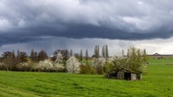 Dunkle Regenwolken ziehen über eine grüne Wiese mit Baumbestand.