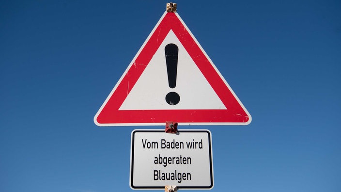 Hinweisschild warnt vor Blaualgen