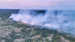 Blick von oben auf das Hochmoor Hohes Venn, in dem ein Großbrand ausgebrochen ist. 