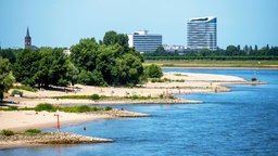 Buhnen am  Rhein in Düsseldorf