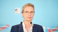 Alice Weidel Co-Vorsitzende der AFD-Bundestagsfraktion