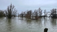 Extremes Hochwasser im Dorf Grietherort