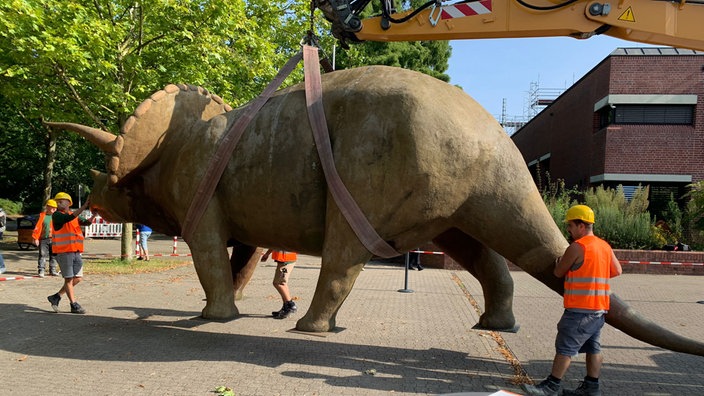 Dinosaurier wird angehoben.