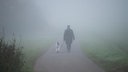 Frau spaziert mit Hund durch den Nebel