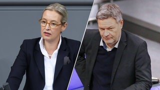 Collage von Robert Habeck und Alice Weidel