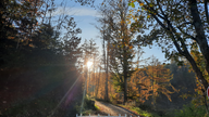 Sonniger Herbsttag im Wald im Sauerland